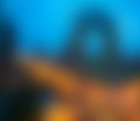 النهضة الريفية