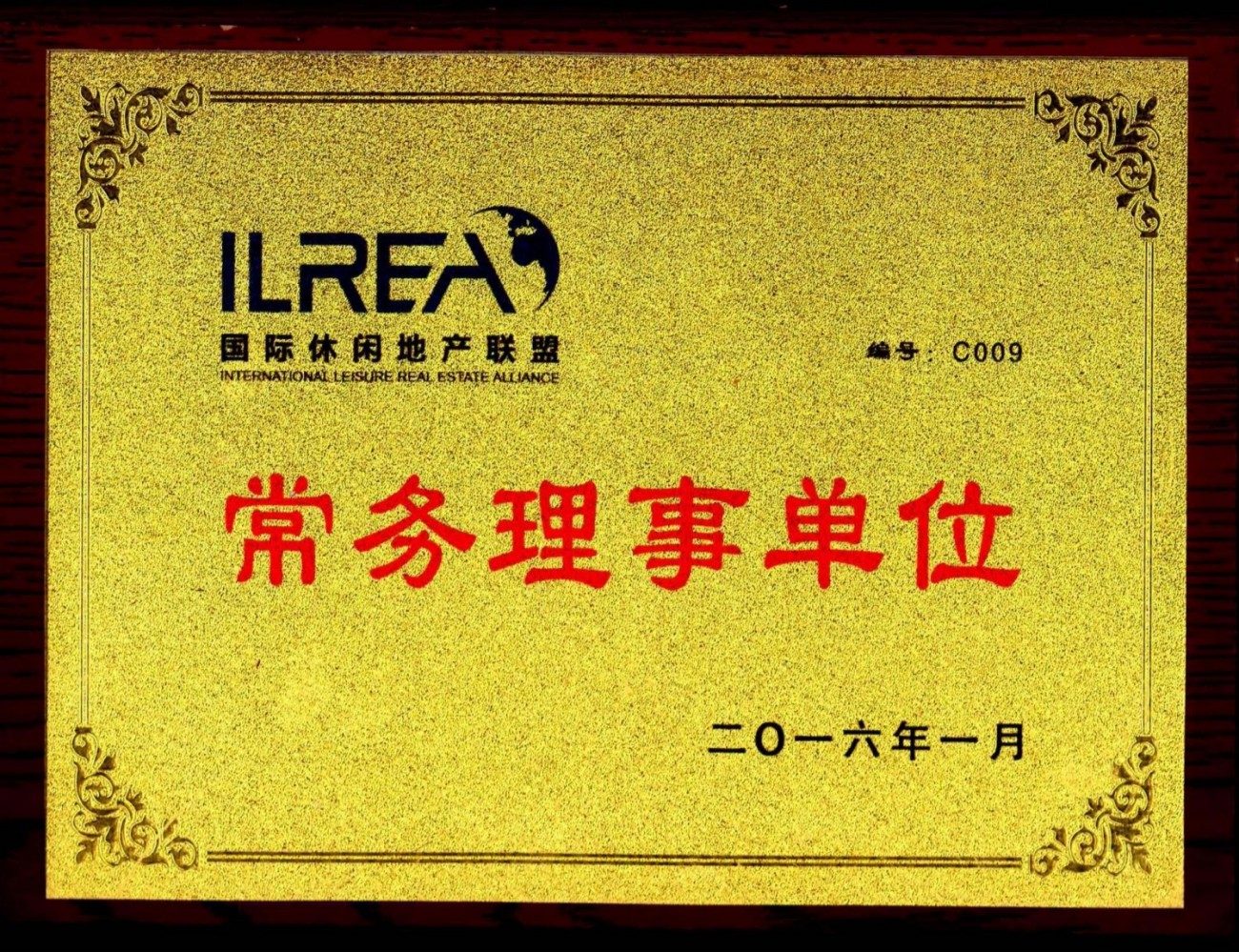 国际休闲地产联盟常务理事单位